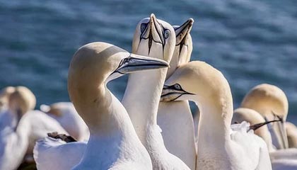 爱游戏体育平台-中国女篮强调团队协作 增强比赛掌控力，中国女篮很强