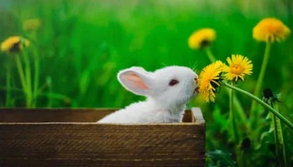 爱游戏体育平台-中超联赛中国队战平 球员表现稳健，中超联赛中国队战平 球员表现稳健还是稳定